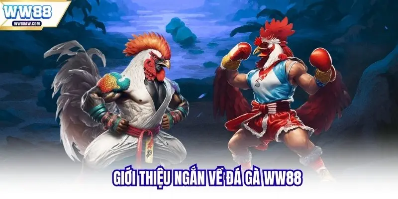 Giới thiệu ngắn về đá gà WW88